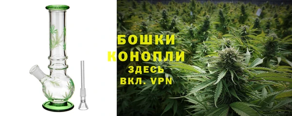дживик Осинники