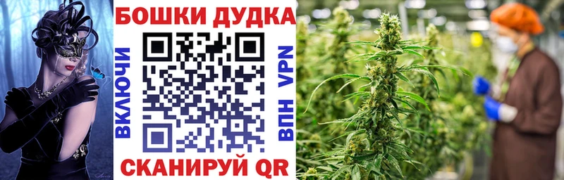 Каннабис семена купить закладку Кущёвская
